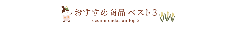 当 店 のおすすめ商品 ベスト 3