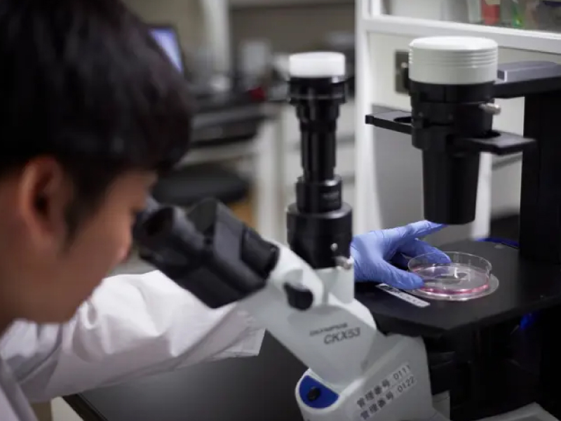 肌にうれしいこめ油